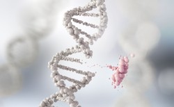 Jeden gen ponad dwukrotnie zwiększa ryzyko ciężkiego przebiegu COVID-19