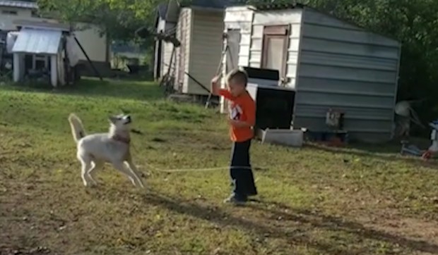 AP_pas_obmotava_decaka_lancem_i_obara_vesti_blic_safe