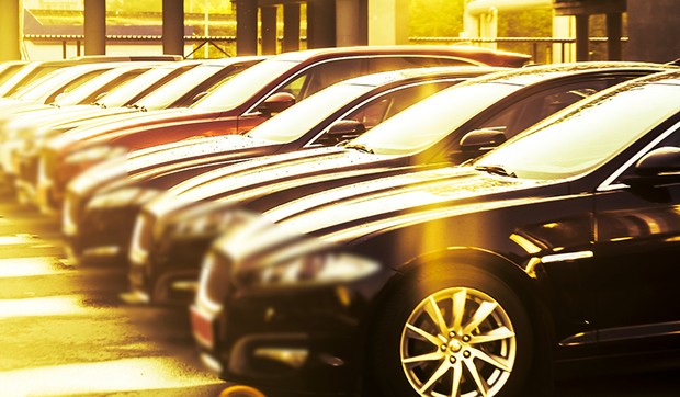 kola shutterstock 1388557997