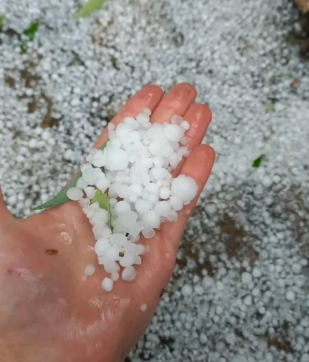 Grad u Kovačici