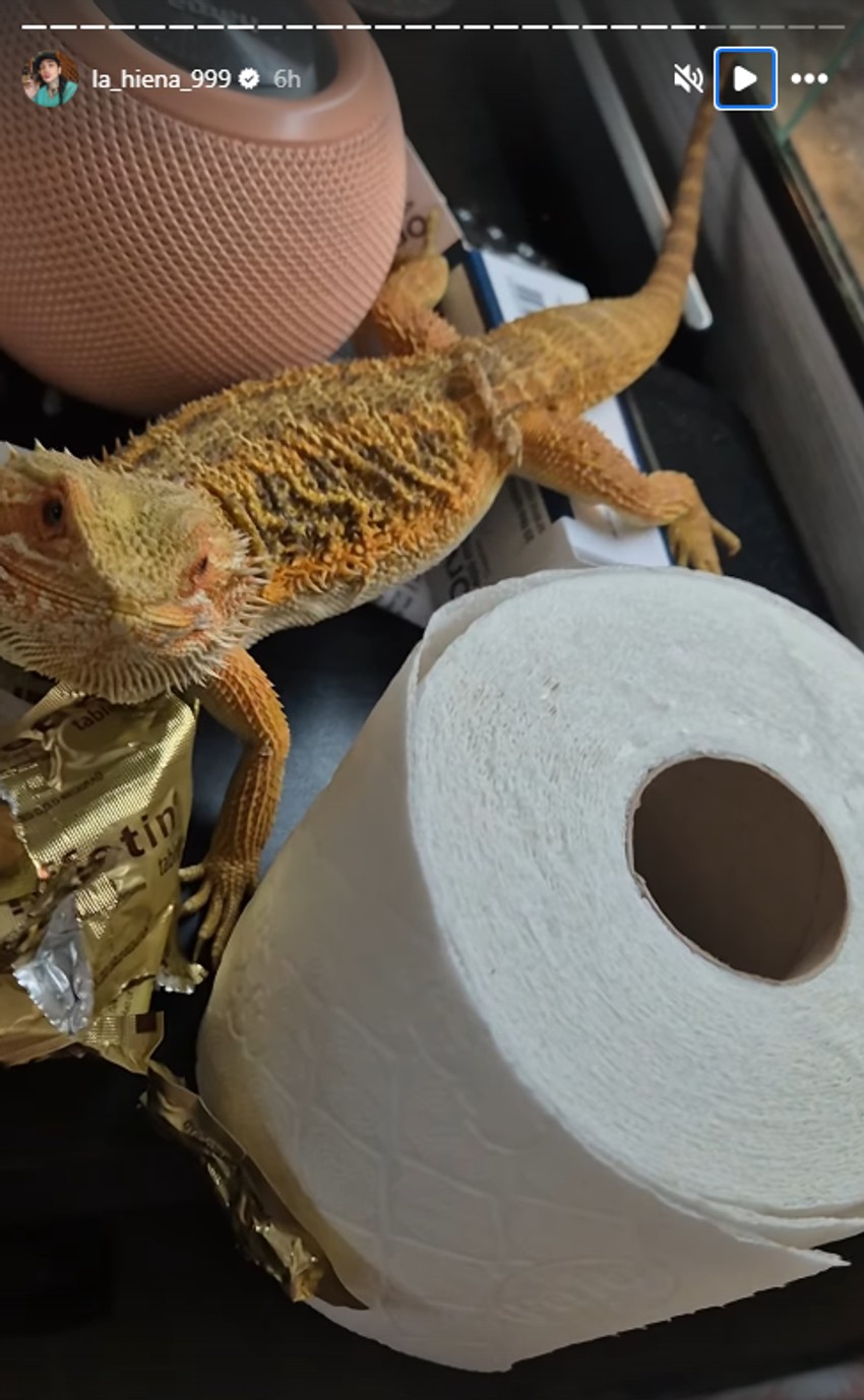 Dunja Ilić pokazala ljubimca