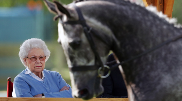 Royal Windsor Horse Show - Fotó: GettyImages