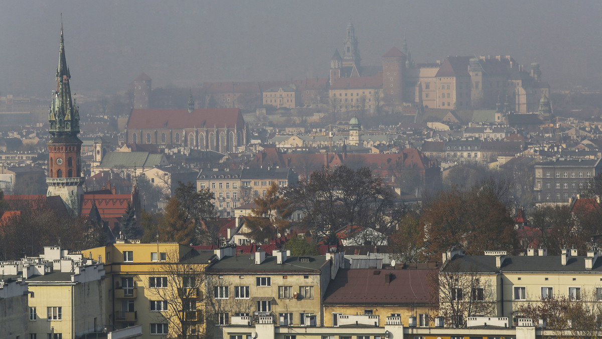 Ruszyła internetowa zbiórka pieniędzy. Fundusze mają zostać przeznaczone na walkę ze smogiem. Chodzi o zakup roślin pyłochłonnych, które mają zostać przekazane do przedszkoli i podstawówek. Jeśli mieszkańcy uzbierają 5 tysięcy złotych, to Zarząd Zieleni Miejskiej powiedział, że potroi kwotę zebraną przez krakowian. Dodatkowo 15 tysięcy "dorzuci" bank HSBC. Na uzbieranie kwoty mieszkańcy mają czas do końca kwietnia.