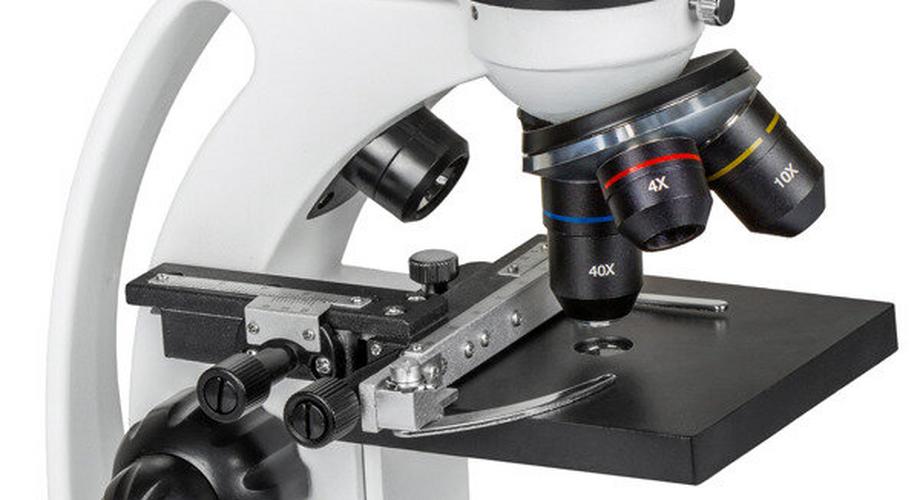 Mikroskop — zrealizuj marzenie i kup jeden z tych zaawansowanych modeli