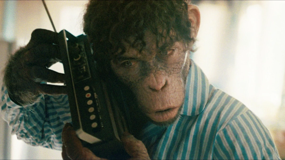 Kinowy niewypał już do wypożyczenia. "To jest film o każdym z nas"