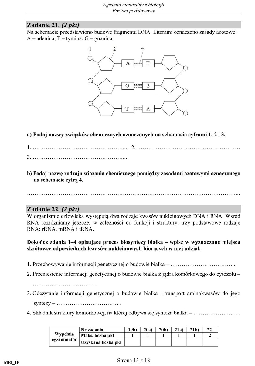 Matura 2017 biologia. Arkusze maturalne CKE