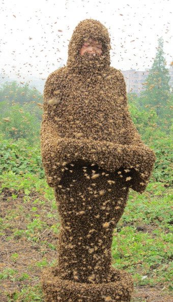 Cały w pszczołach