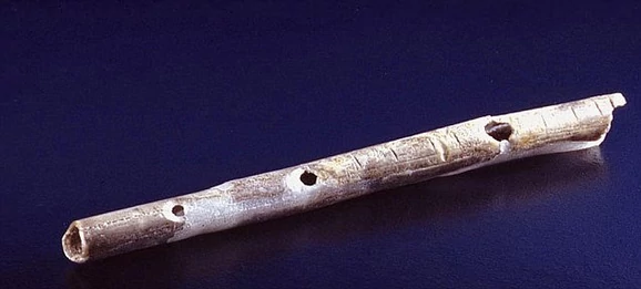 Pronađeni najstariji muzički instrumenti - frule stare 40.000 godina