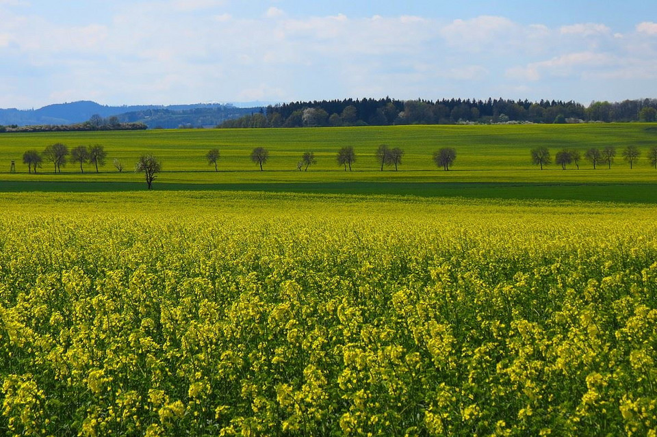 Pogórze Kaczawskie