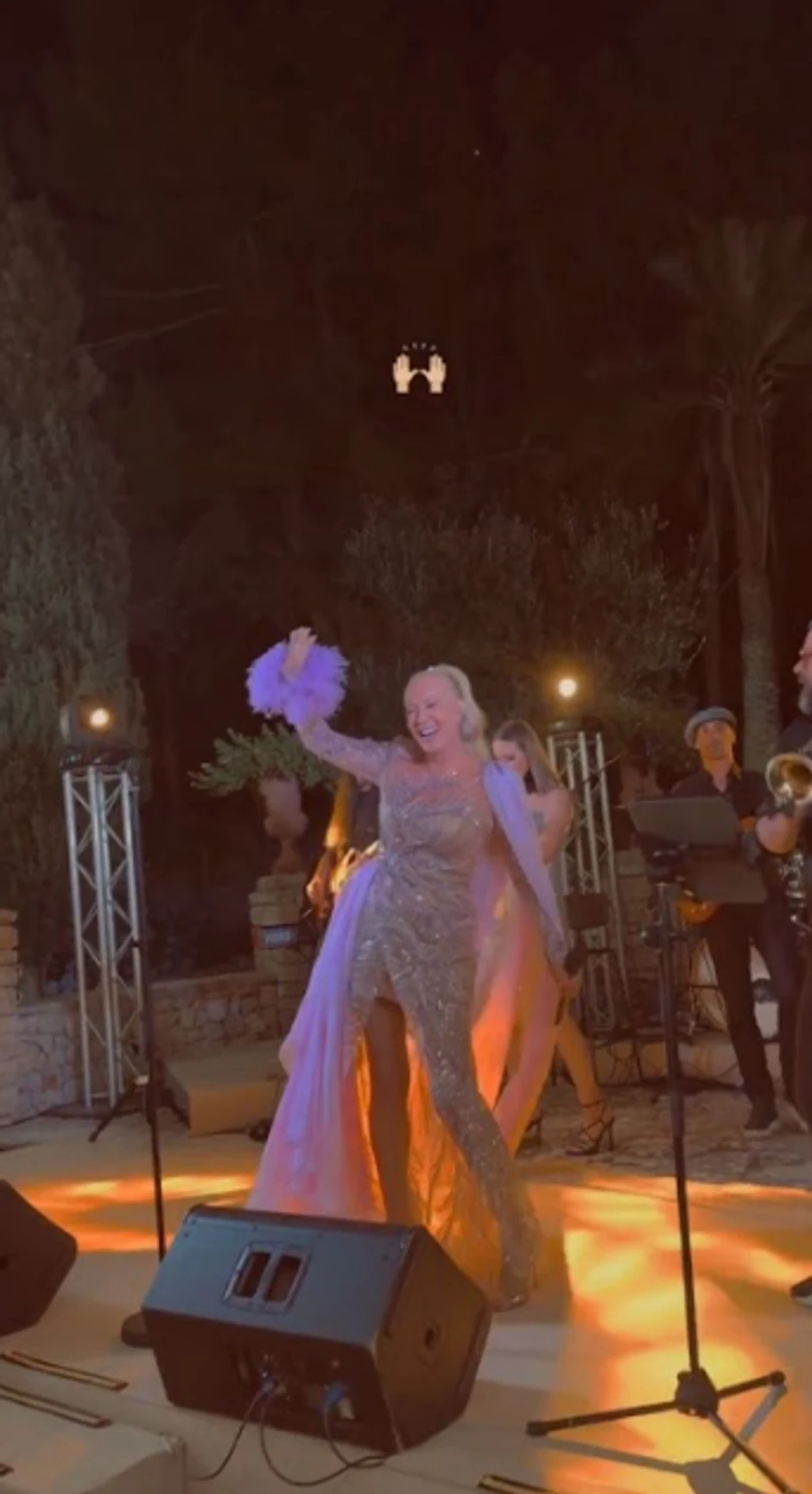 Lepa Brena na gej venčanju