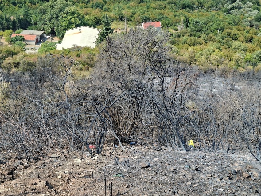 Potpuno izgorela šuma u Buljaricama