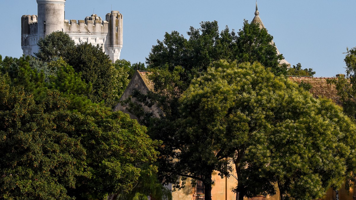Vučić najavio veliku fabriku u Novom Bečeju: