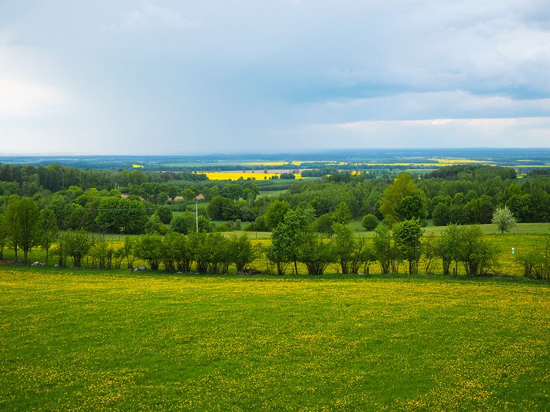 Widok z wieży widokowej Góra Dylewska