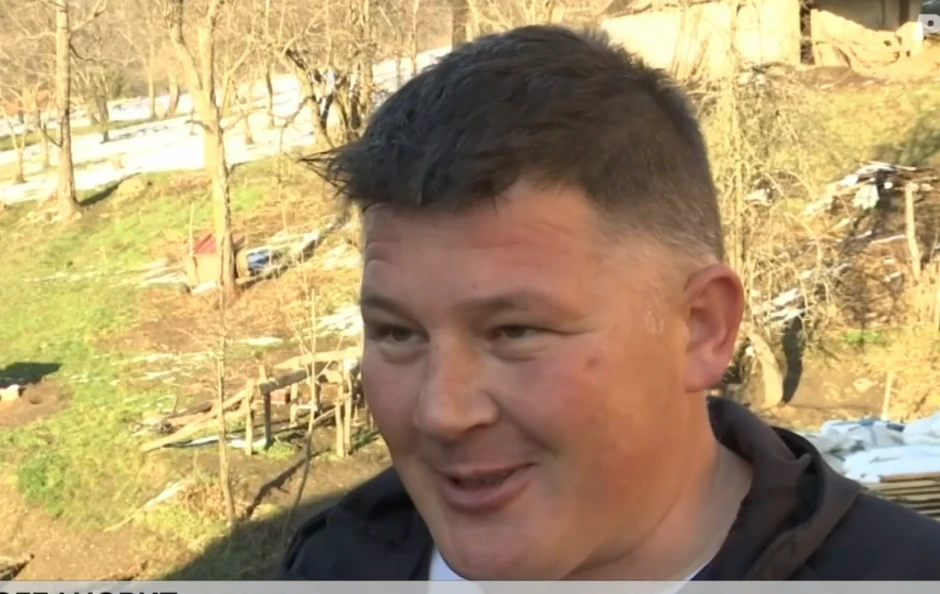 Porodica Bogdanović