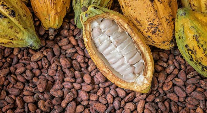 EU threatens to ban cocoa from Ghana over galamsey