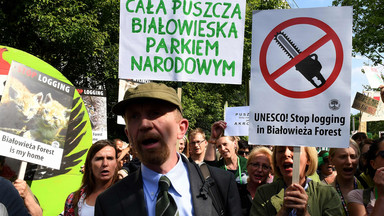 Gabriela Lenartowicz: to kłamstwo, że UNESCO nie wezwało do wstrzymania wycinki w Puszczy