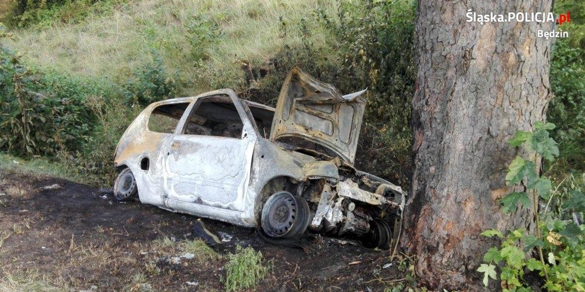 Tragiczny wypadek w Strzyżowicach. Kierowca zginął w płomieniach