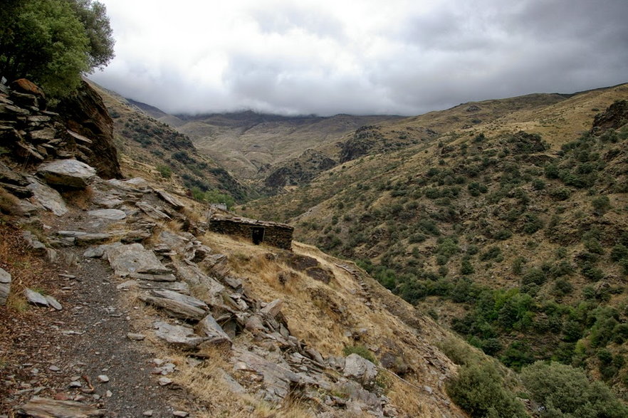 Sierra Nevada