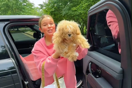 Žena odvela PRESLATKO ŠTENE na prvu frizuru, pa počela da plače kad ga je videla UNAKAŽENOG: Imala je čupavog anđela, vratili joj olindrano PACOVČE