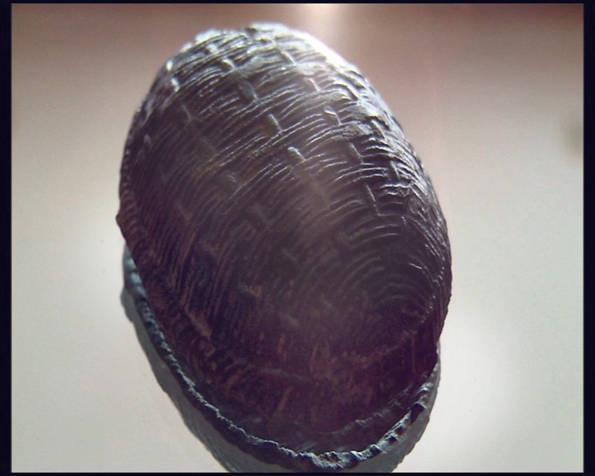 Detalj iz filma "Žena u Pompejima"