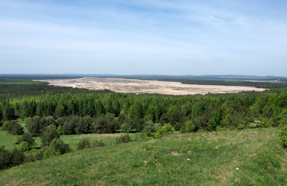 Pustynia Błędowska