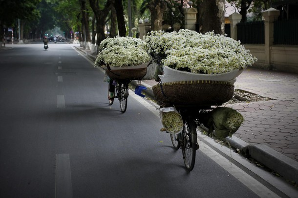 VIETNAM ECONOMY DAILY LIFE OXEYE DAISY 