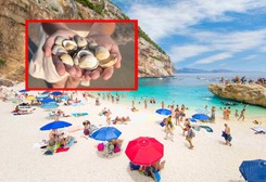 Tego nie wolno przywieźć z Turcji, a tego z Włoch. Zakazane 'pamiątki' z wakacji [LISTA]