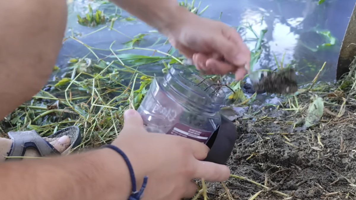 Eksperiment sa kanalizacijom