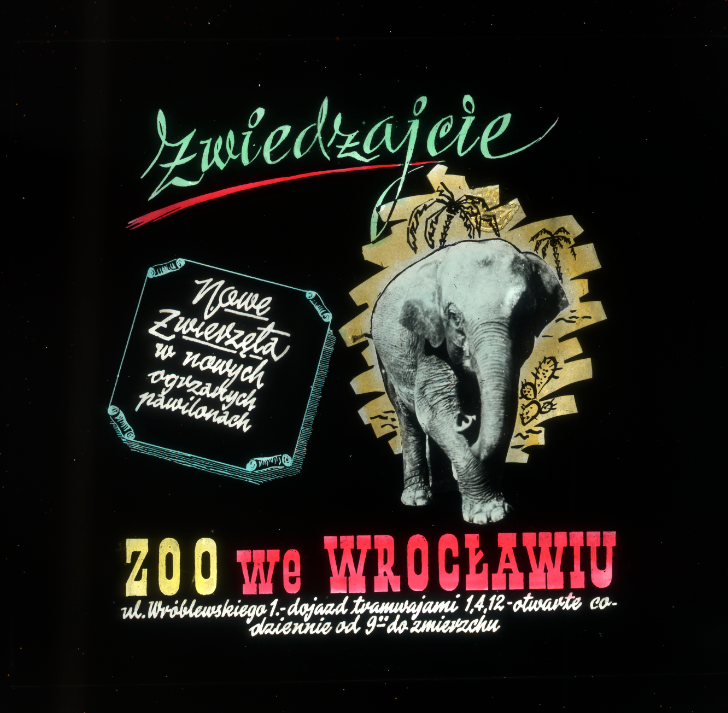 Nawet ogrzewane pomieszczenia mogły zachęcić do wizyty w zoo. Dziś to nie do pomyślenia