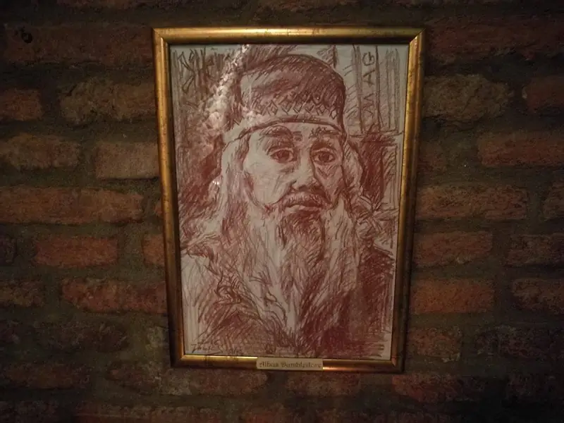 Albus Dumbledore, fot. Natalia Musiał