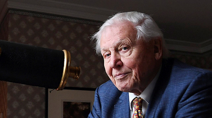 David Attenborough próbálja felhívni a figyelmet a veszélyre / Fotó: MTI/EPA/Andy Rain