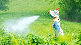 Pestycydy i zanieczyszczenia chemiczne a zdrowie jelit – nowe zagrożenie dla mikrobiomu