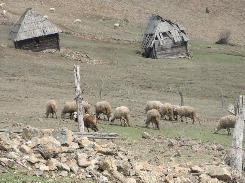 Imanje porodice Udovičić iz Marinkove kose