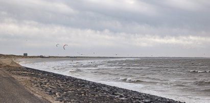 Makabryczne odkrycie na holenderskiej plaży. Znaleziono ciało młodziutkiej Polki