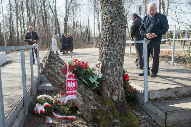 Wrak samolotu Tu-154M znajduje się na płycie lotniska w Smoleńsku. Władze Rosji twierdzą, że nie mogą przekazać go Polsce, dopóki nie zakończą swojego śledztwa w sprawie katastrofy z 10 kwietnia 2010 roku.