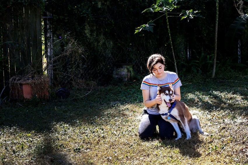 Rouz Veril (13) našla je begunca 1.800 kilometara od njegove kuće. Uskoro će biti vraćen vlasnicima u Bruklinu