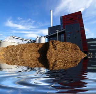 Ardanowski: Przetworzenie biomasy rolniczej może dać 8 mld m sześc. biogazu rocznie