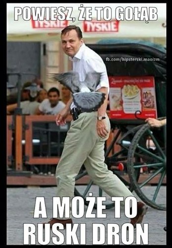 mem z Radosławem Sikorskim / Hipsterski maoizm