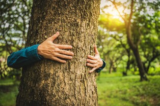 Rewolucja w pochówkach: bez kontaktu z Kościołem, bez kosztownego pomnika i bez wydawania tysięcy złotych na tradycyjny pogrzeb. Czy Polacy są na to gotowi?