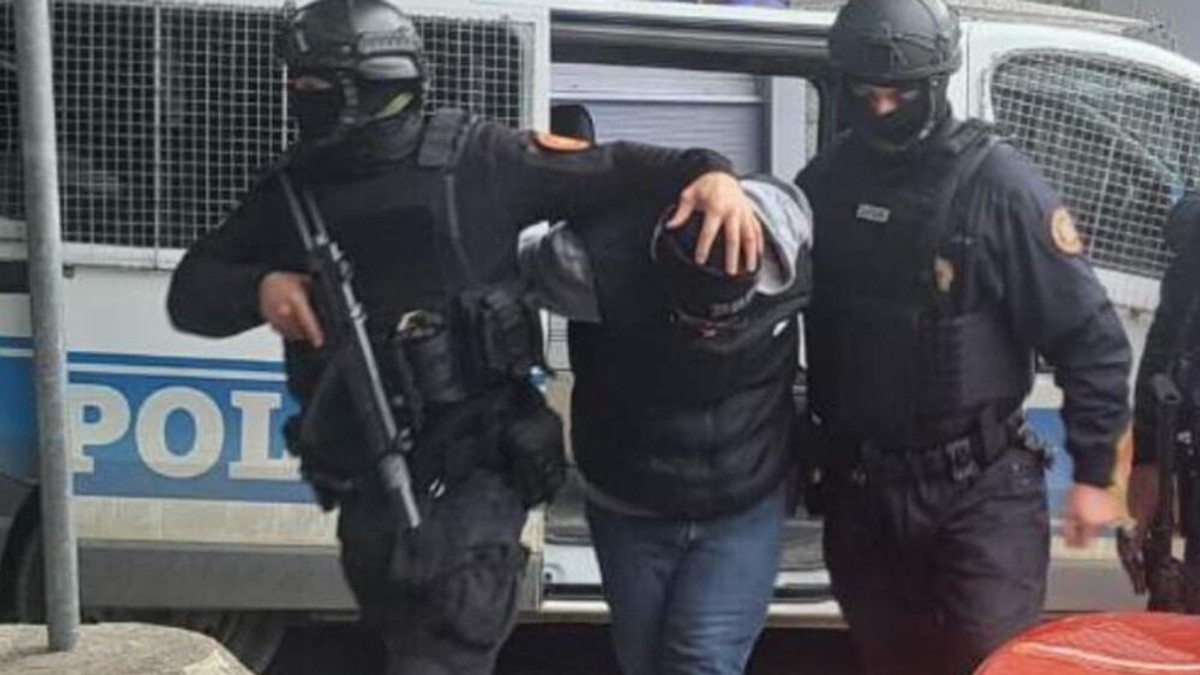 Ekstradicija Strahinje Savića 