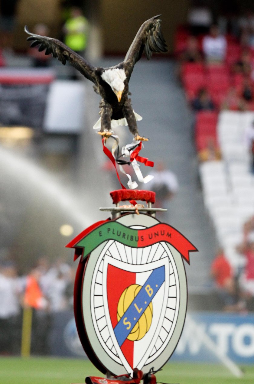 Benfica Lizbona w żałobie. Na Estadio da Luz zmarł wierny kibic