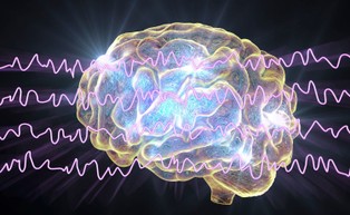 Naukowcy stworzyli matematyczny model, opisujący pracę ośrodków wzroku