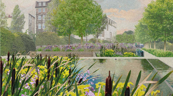 Park Wisławy Szymborskiej