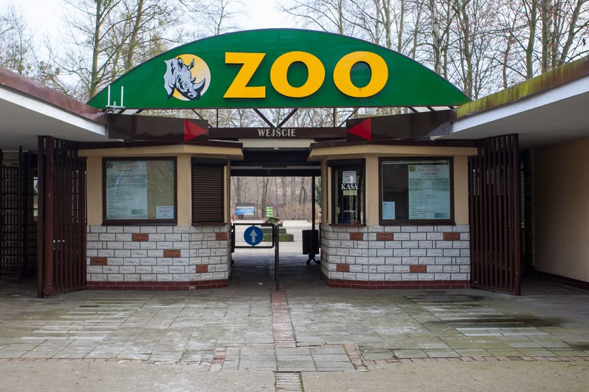 Zoo zatrudni nowych pracowników