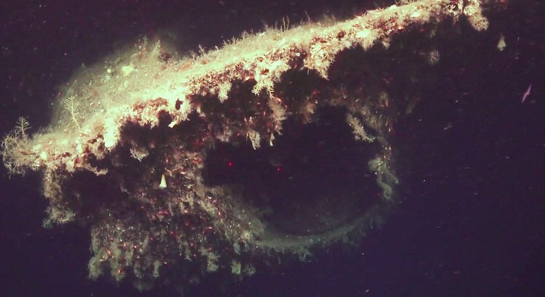 Researchers discovered the remains of the HMS Thistle off the coast of Norway earlier this year.Courtesy of the Institute for Marine Research