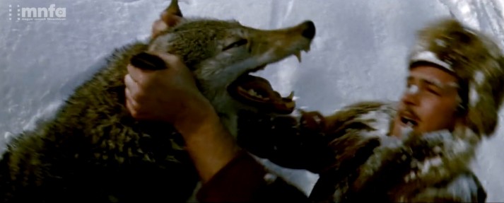 Jókai óta félünk tőlük /Fotó: GREBB