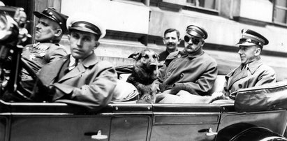 Kasztankę znają wszyscy. Ale jak nazywał się pies Piłsudskiego?