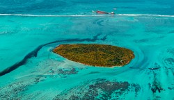 Wyciek ropy u brzegów tropikalnego raju. Japoński armator przeprasza za katastrofę