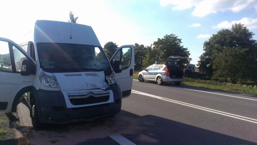 Śmiertelne potrącenie pieszego