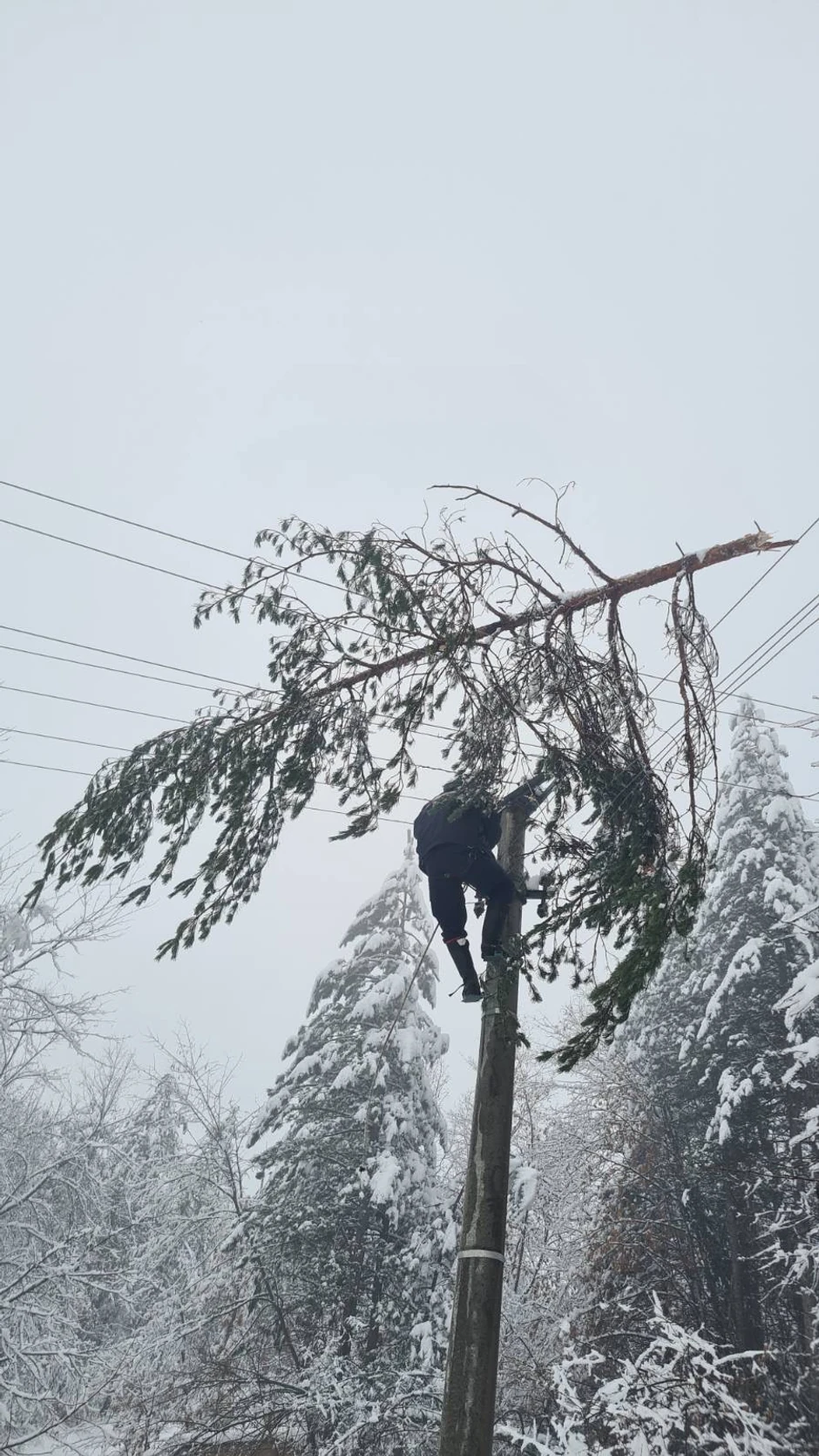 Otklanjanje kvarova u Ivanjici